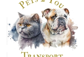 Pet Transport 
